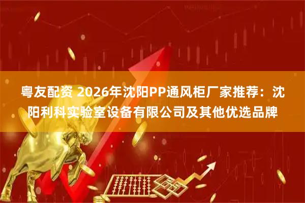 粤友配资 2026年沈阳PP通风柜厂家推荐：沈阳利科实验室设备有限公司及其他优选品牌